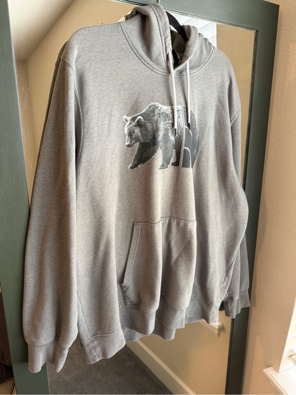The North Face Grey Bear Graphic Hoodie